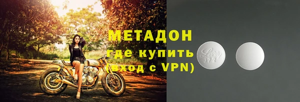 шишки Белоозёрский