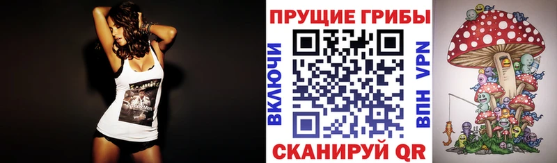 Галлюциногенные грибы Cubensis  Буй 